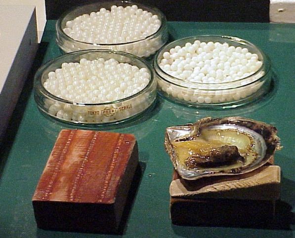 Pearl Formation and Pollution