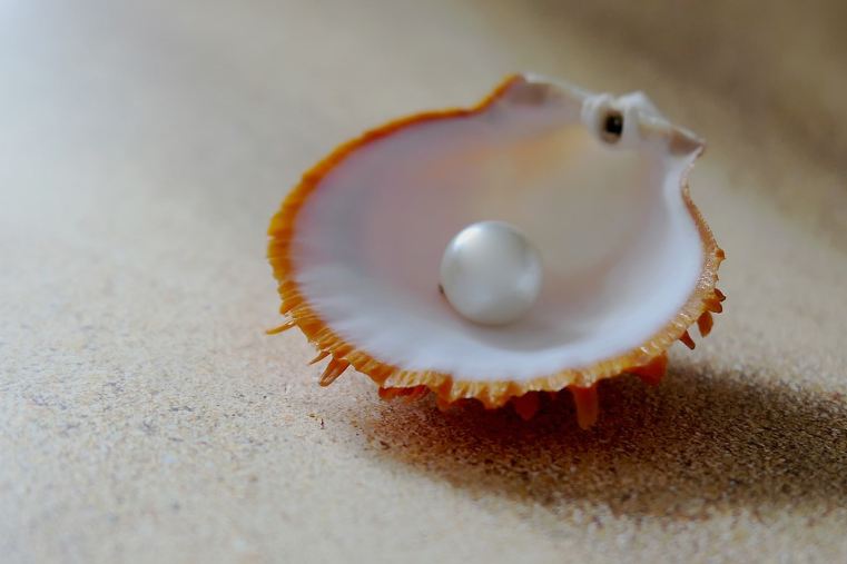 Shell Pearls