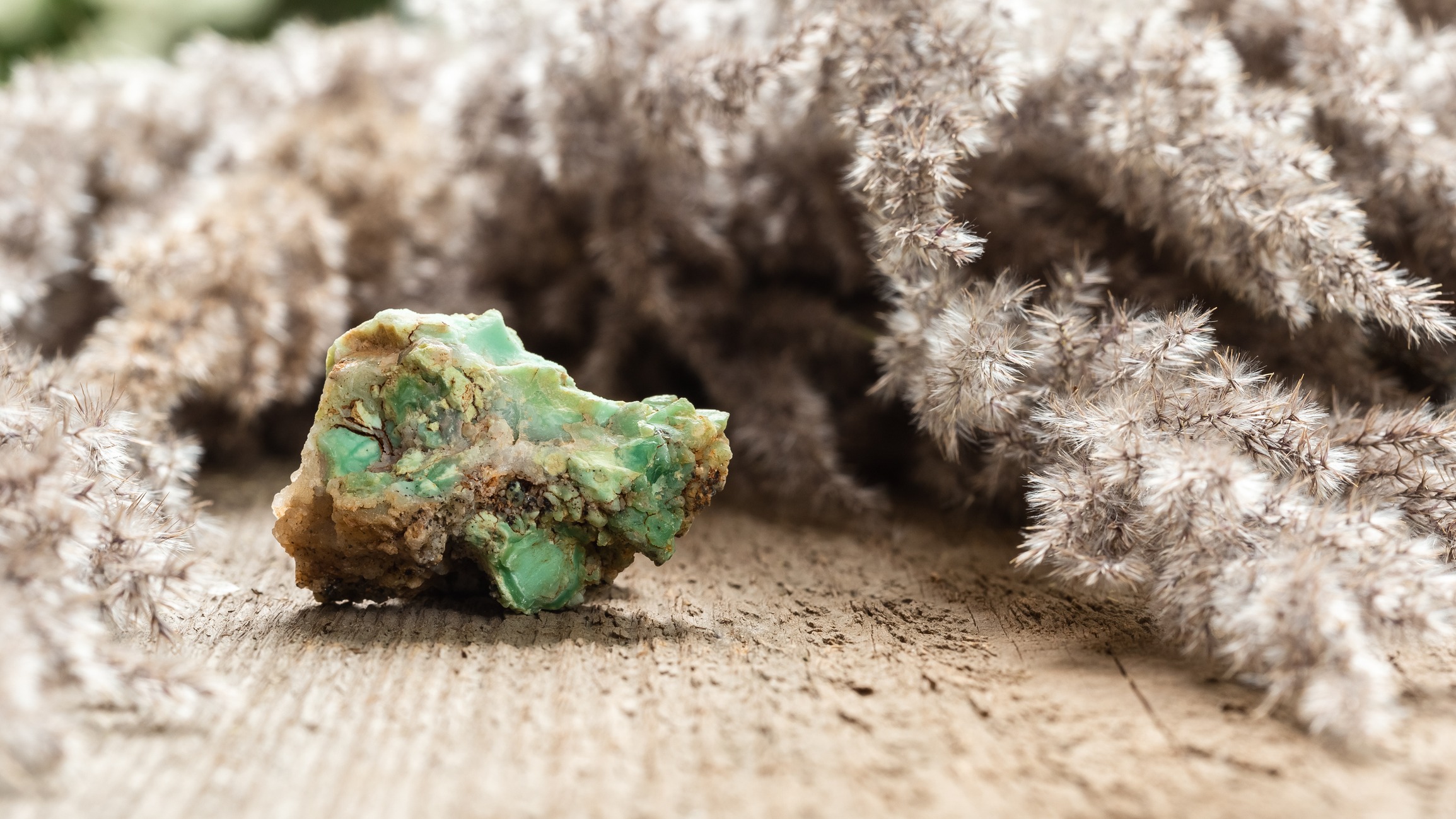 Chrysoprase Crystal on Wood with Dried Herbs